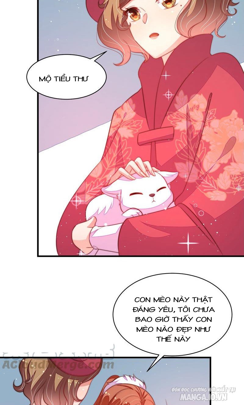 Ngày Nào Thiếu Soái Cũng Ghen Chapter 320 - Trang 2