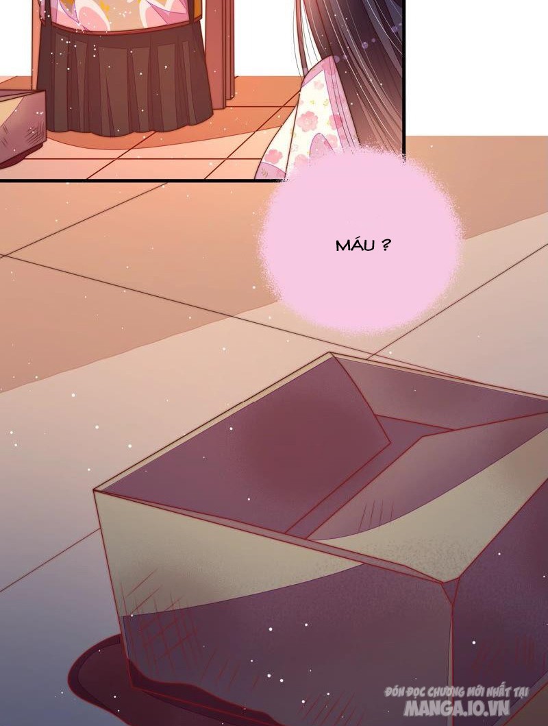 Ngày Nào Thiếu Soái Cũng Ghen Chapter 325 - Trang 2