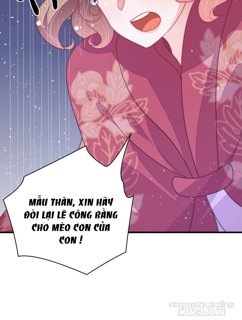 Ngày Nào Thiếu Soái Cũng Ghen Chapter 325 - Trang 2