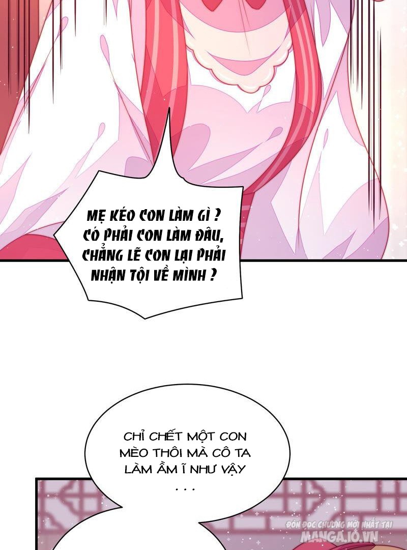 Ngày Nào Thiếu Soái Cũng Ghen Chapter 326 - Trang 2