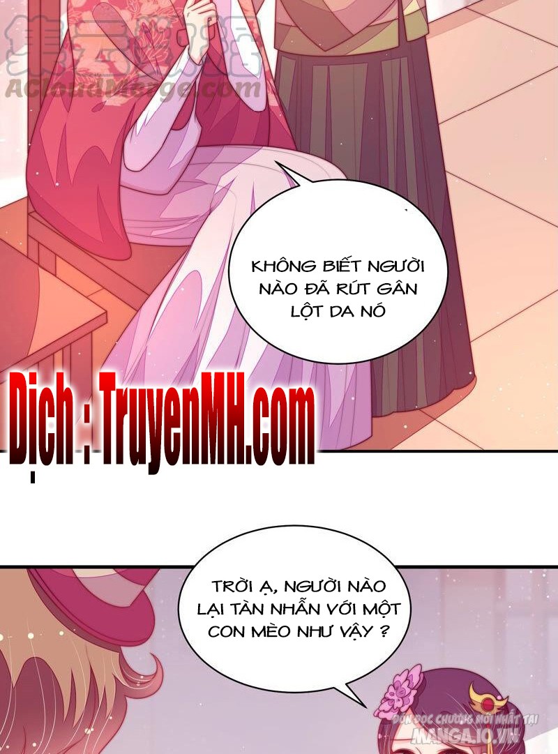 Ngày Nào Thiếu Soái Cũng Ghen Chapter 326 - Trang 2
