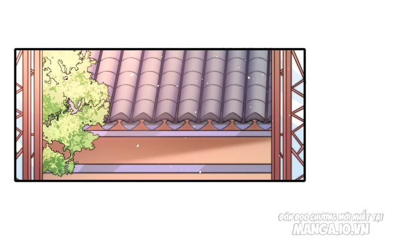 Ngày Nào Thiếu Soái Cũng Ghen Chapter 33 - Trang 2