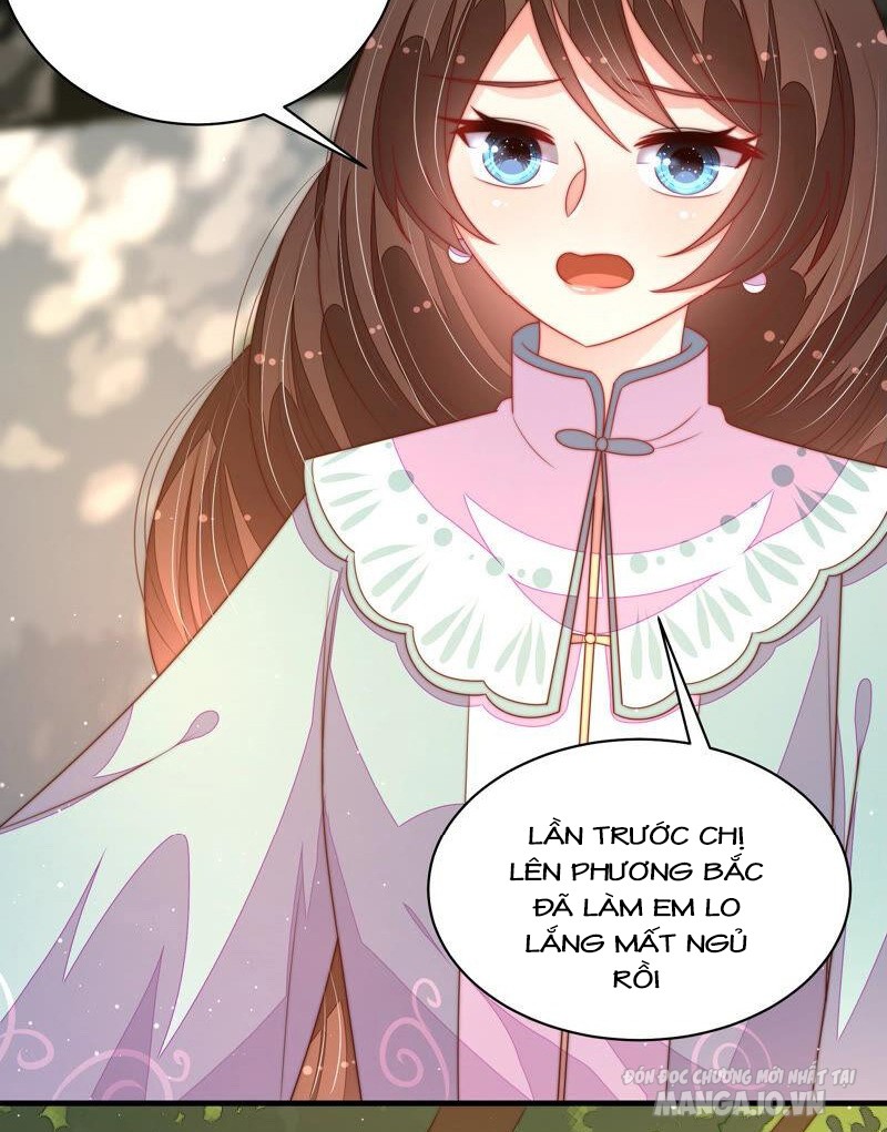 Ngày Nào Thiếu Soái Cũng Ghen Chapter 336 - Trang 2