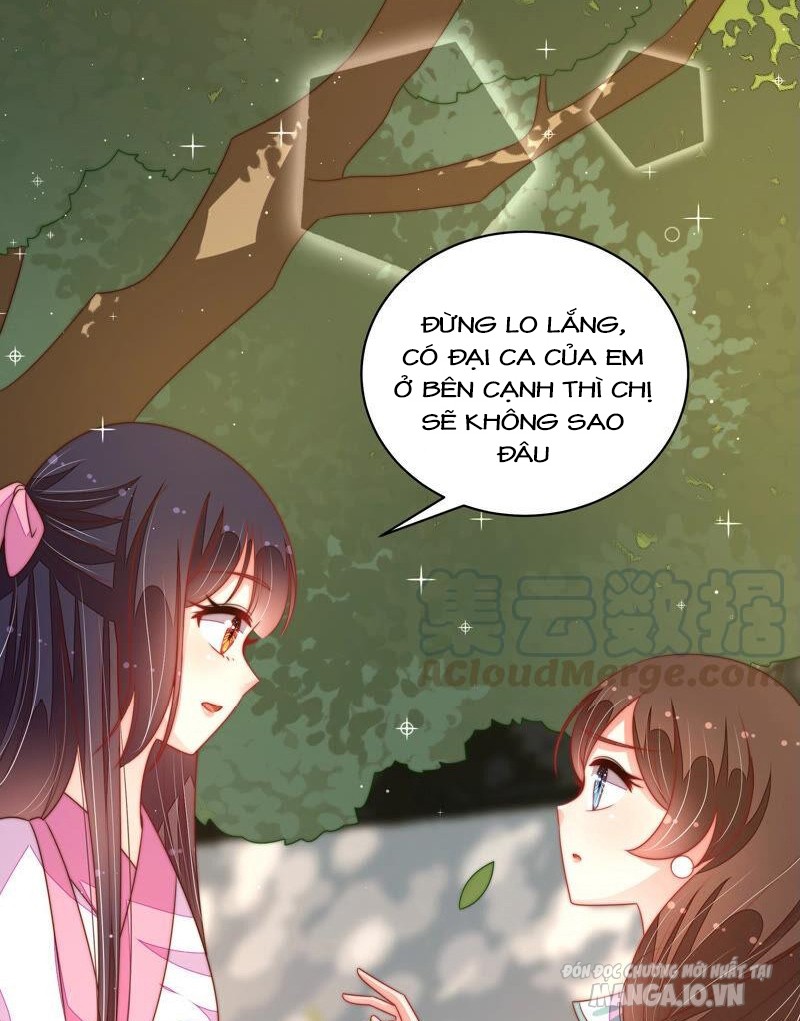 Ngày Nào Thiếu Soái Cũng Ghen Chapter 336 - Trang 2