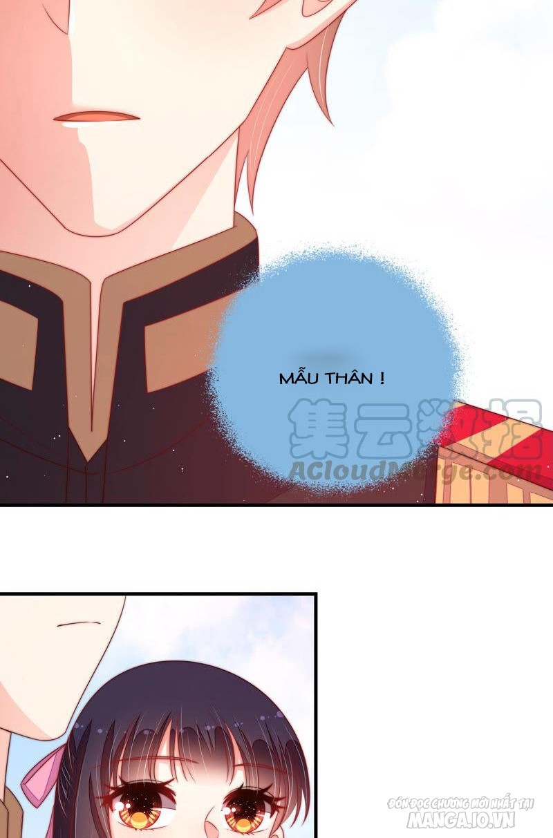 Ngày Nào Thiếu Soái Cũng Ghen Chapter 337 - Trang 2