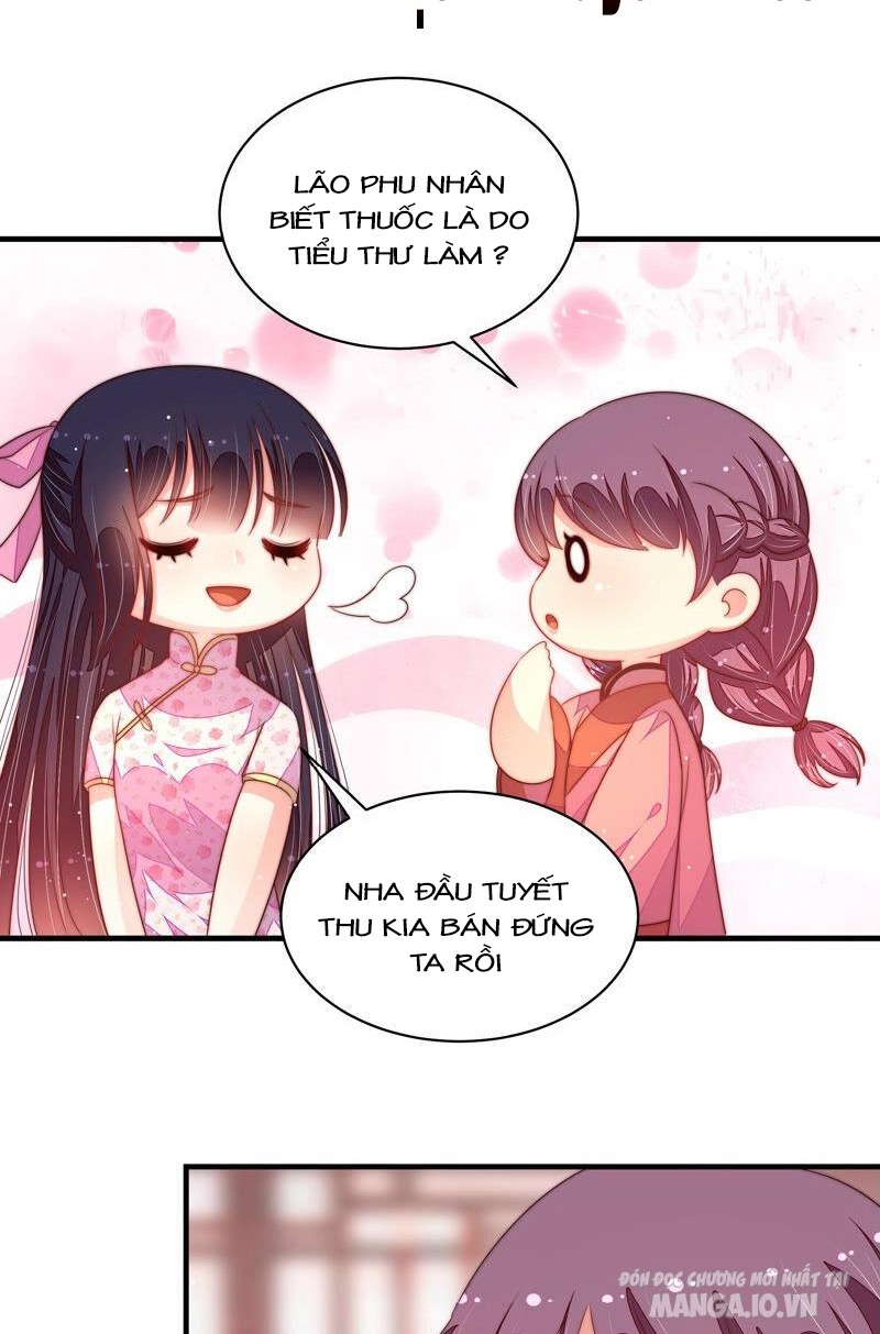 Ngày Nào Thiếu Soái Cũng Ghen Chapter 337 - Trang 2