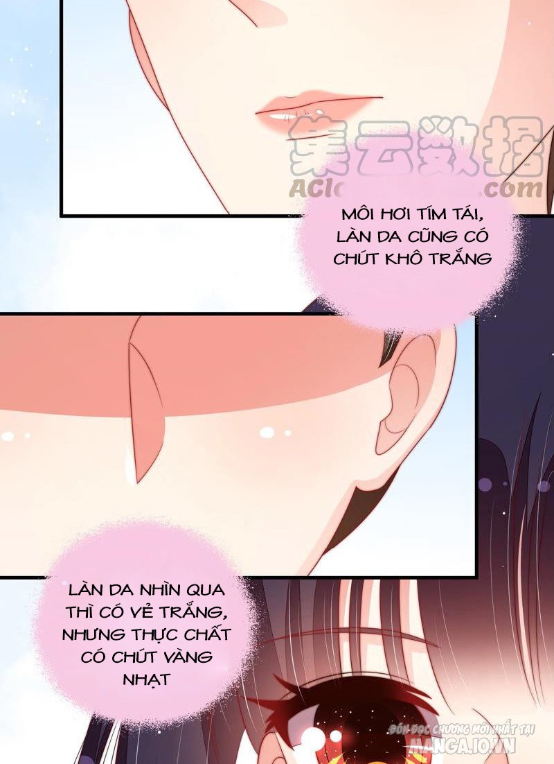 Ngày Nào Thiếu Soái Cũng Ghen Chapter 338 - Trang 2