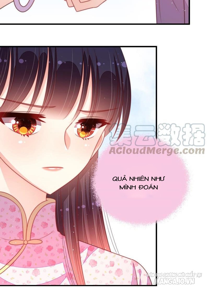 Ngày Nào Thiếu Soái Cũng Ghen Chapter 338 - Trang 2