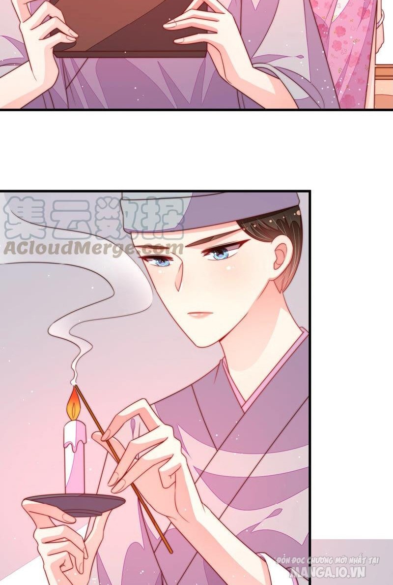 Ngày Nào Thiếu Soái Cũng Ghen Chapter 339 - Trang 2