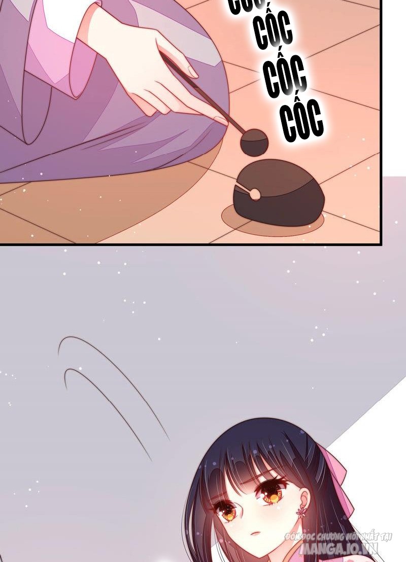 Ngày Nào Thiếu Soái Cũng Ghen Chapter 340 - Trang 2