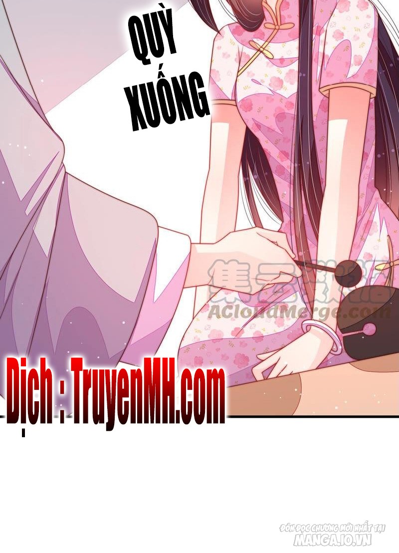 Ngày Nào Thiếu Soái Cũng Ghen Chapter 340 - Trang 2