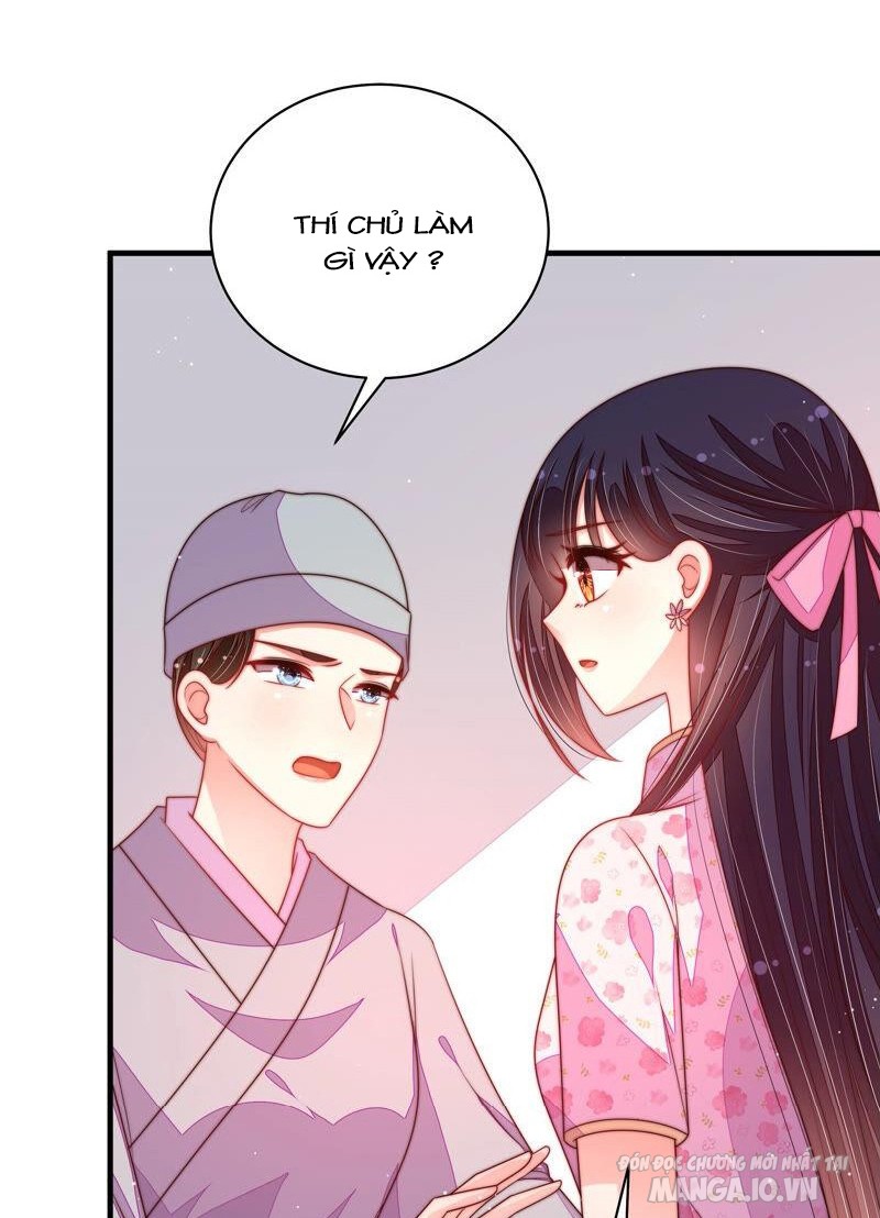 Ngày Nào Thiếu Soái Cũng Ghen Chapter 340 - Trang 2