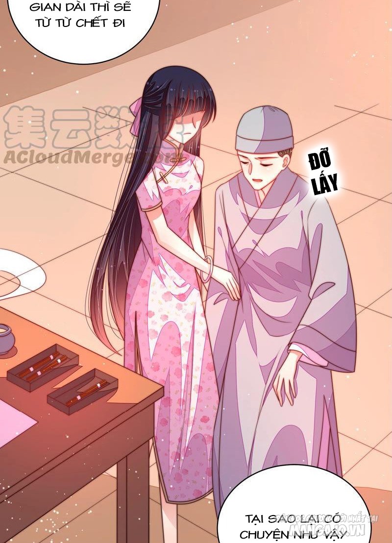 Ngày Nào Thiếu Soái Cũng Ghen Chapter 340 - Trang 2