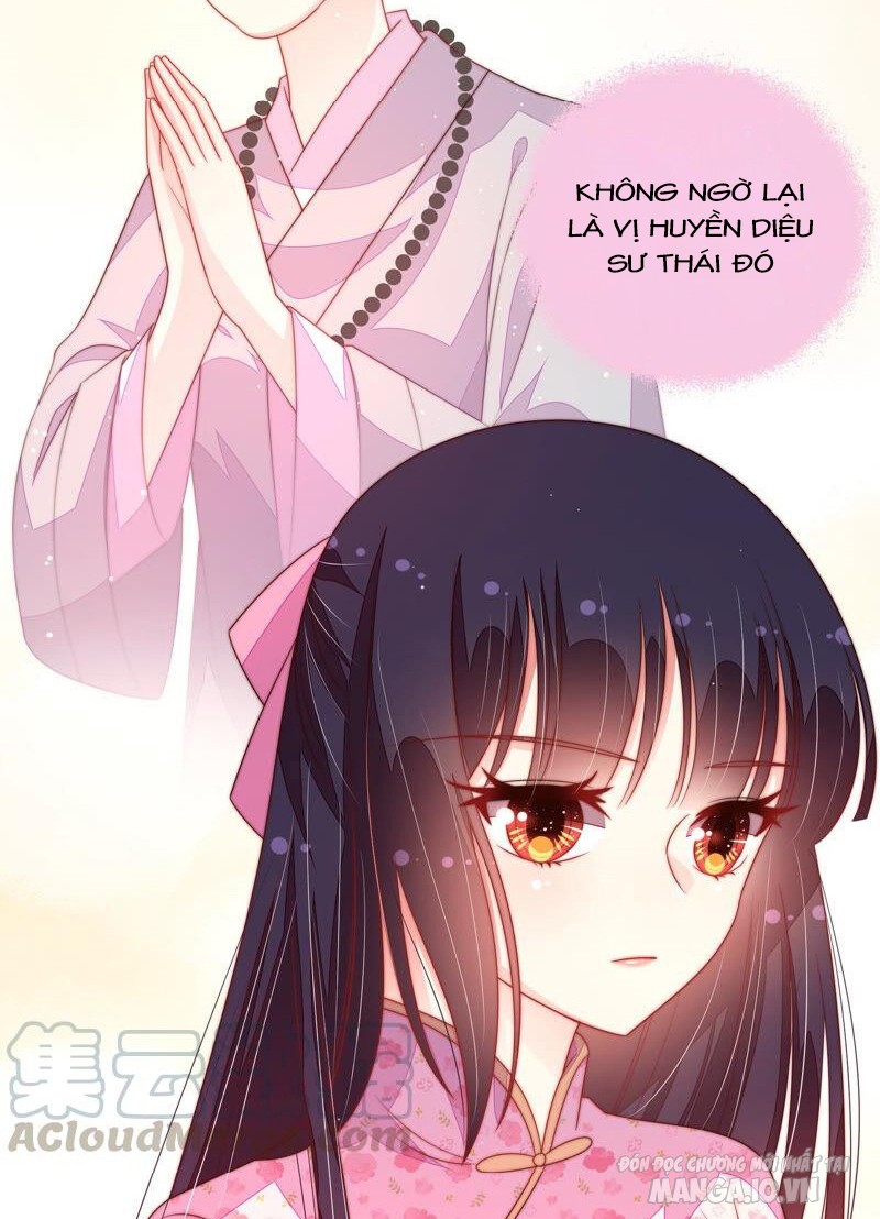 Ngày Nào Thiếu Soái Cũng Ghen Chapter 340 - Trang 2