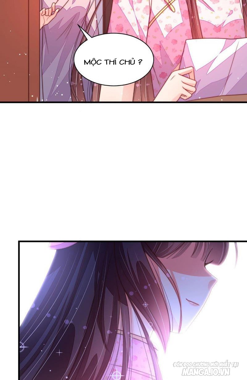 Ngày Nào Thiếu Soái Cũng Ghen Chapter 343 - Trang 2