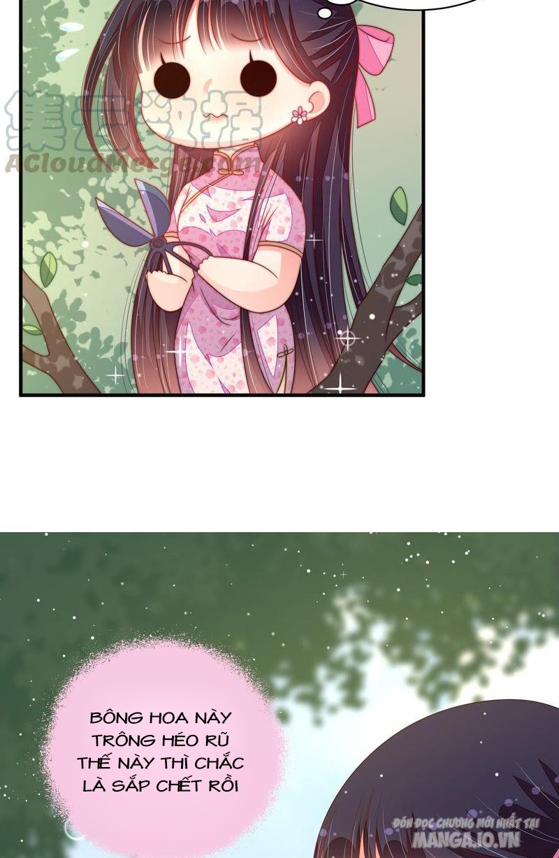 Ngày Nào Thiếu Soái Cũng Ghen Chapter 343 - Trang 2