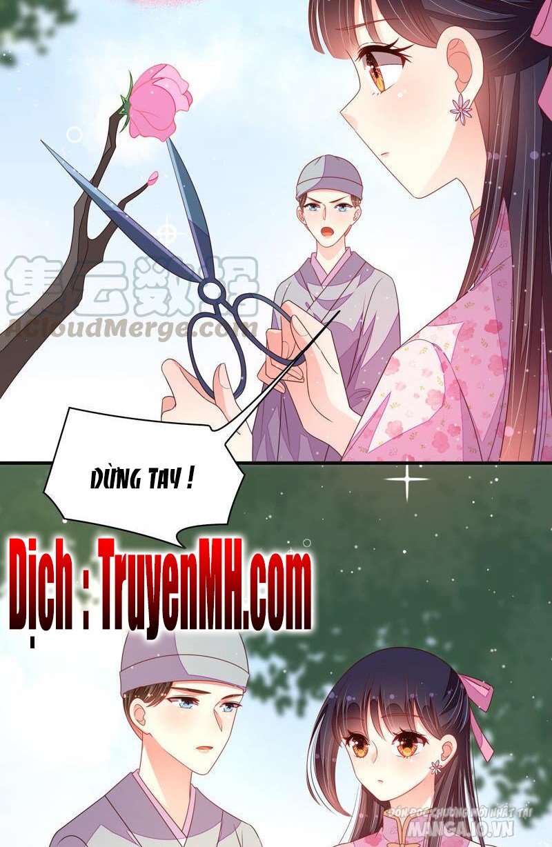 Ngày Nào Thiếu Soái Cũng Ghen Chapter 343 - Trang 2