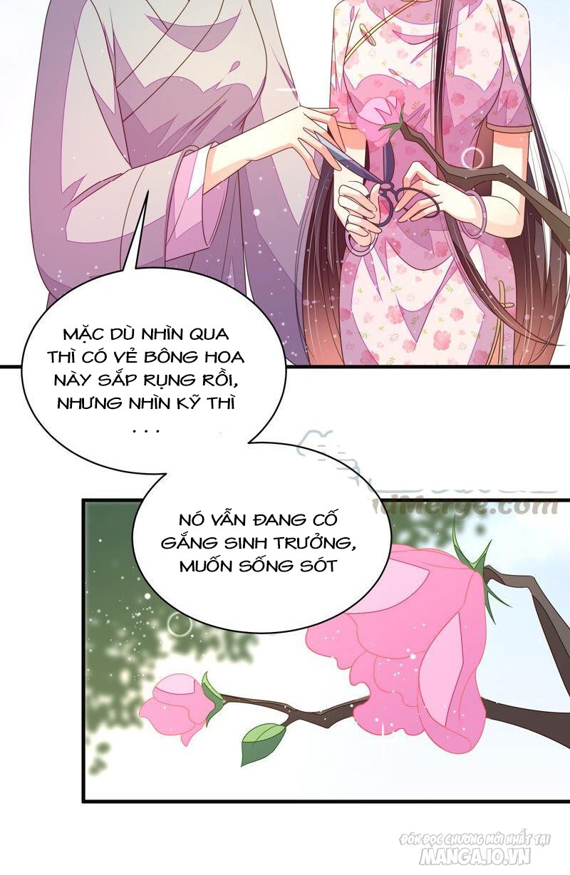 Ngày Nào Thiếu Soái Cũng Ghen Chapter 343 - Trang 2