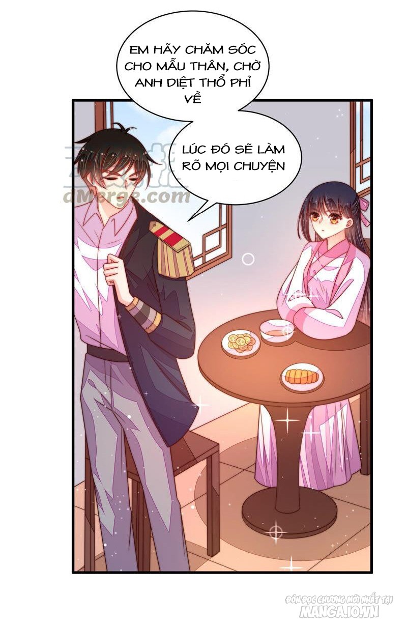 Ngày Nào Thiếu Soái Cũng Ghen Chapter 343 - Trang 2