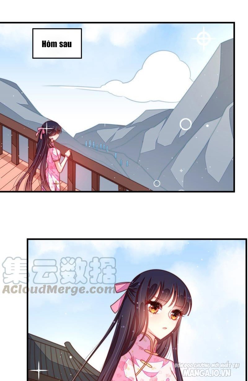 Ngày Nào Thiếu Soái Cũng Ghen Chapter 343 - Trang 2