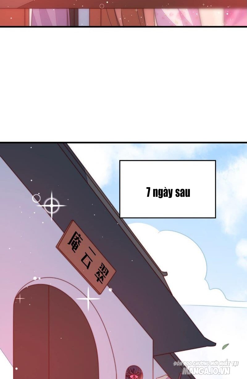 Ngày Nào Thiếu Soái Cũng Ghen Chapter 343 - Trang 2