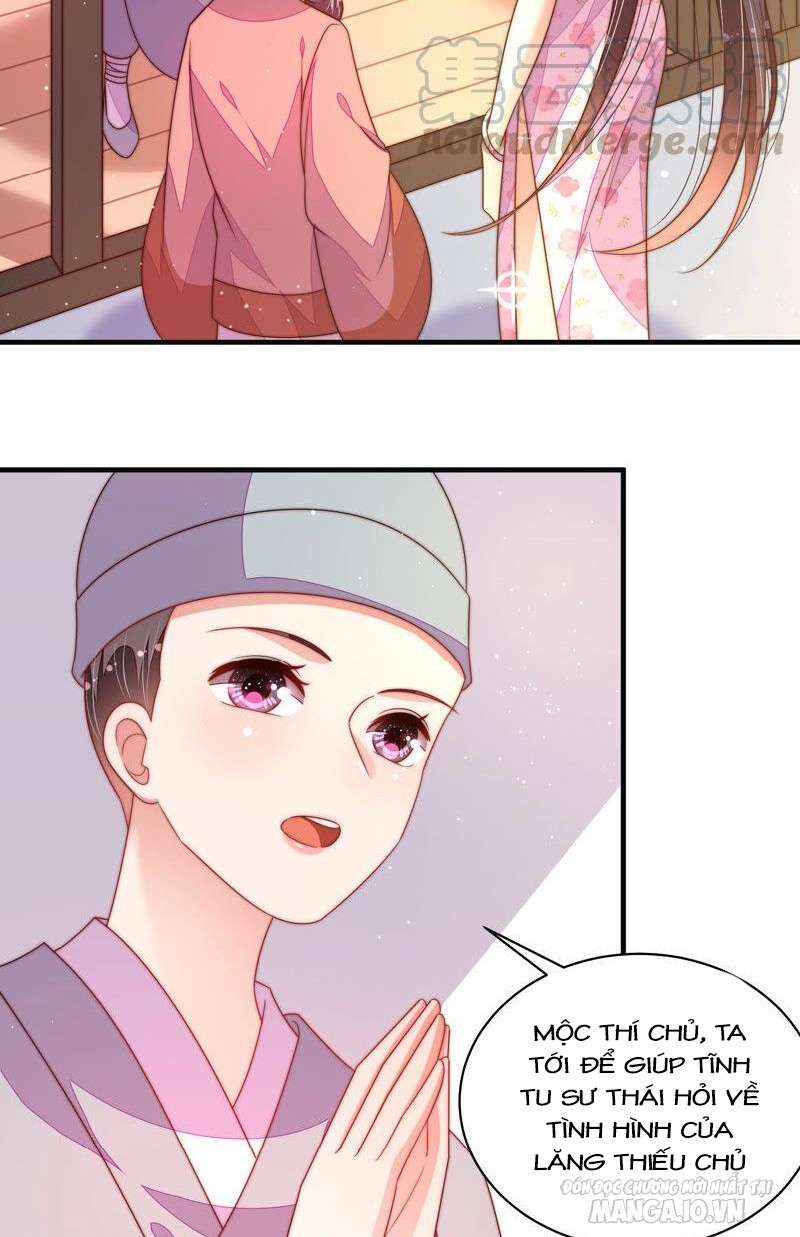 Ngày Nào Thiếu Soái Cũng Ghen Chapter 344 - Trang 2