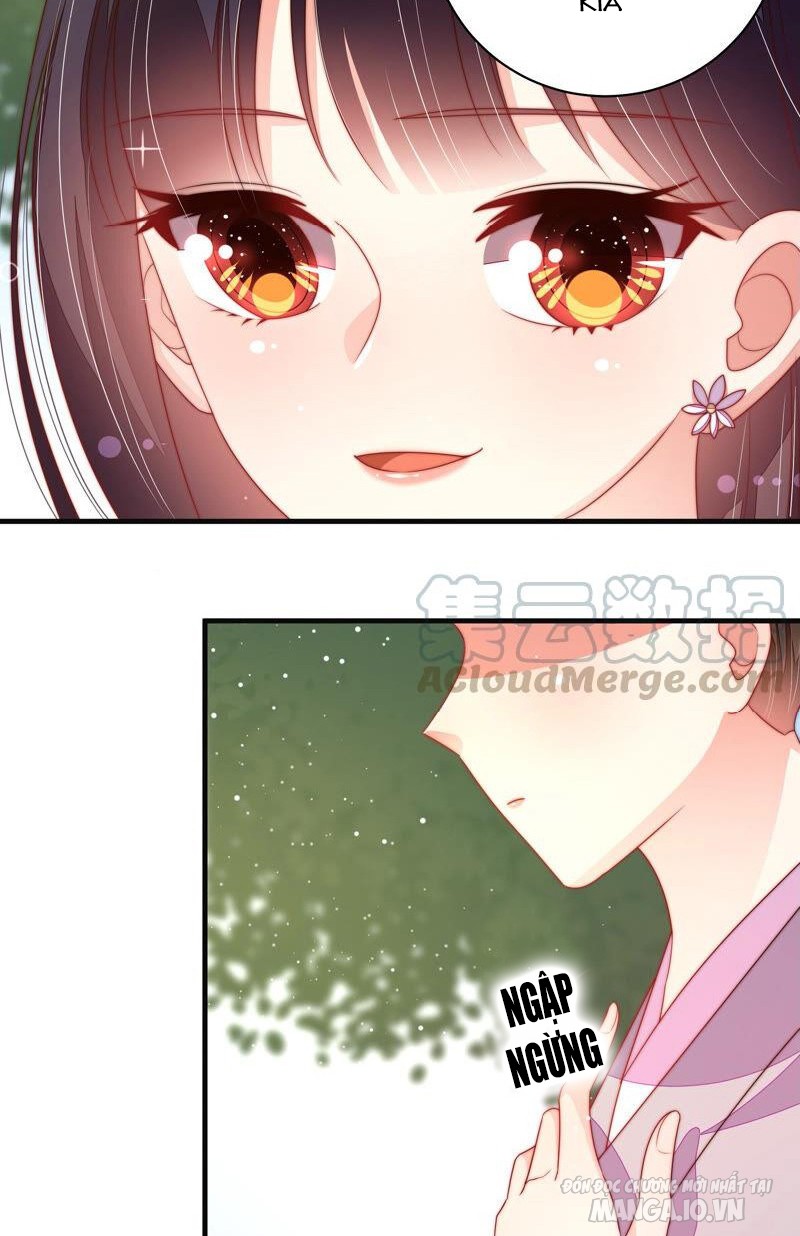 Ngày Nào Thiếu Soái Cũng Ghen Chapter 344 - Trang 2