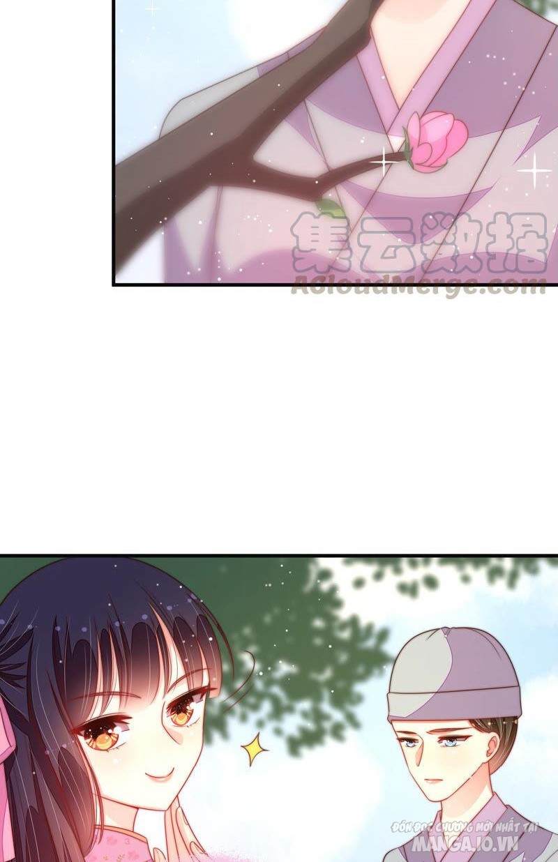 Ngày Nào Thiếu Soái Cũng Ghen Chapter 344 - Trang 2