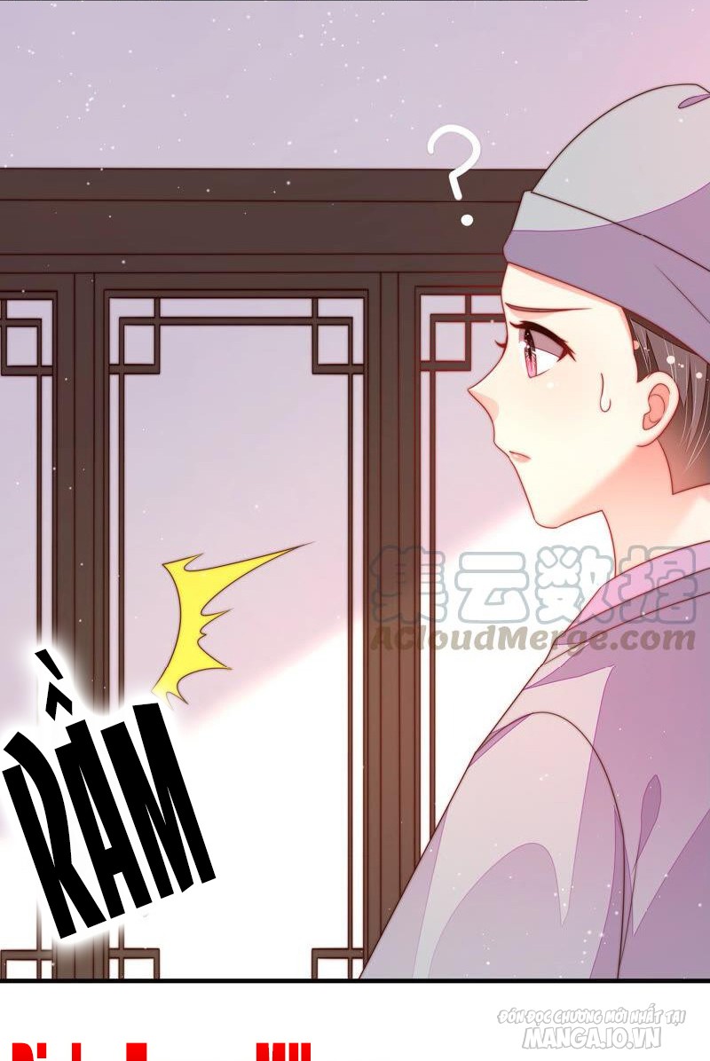 Ngày Nào Thiếu Soái Cũng Ghen Chapter 345 - Trang 2