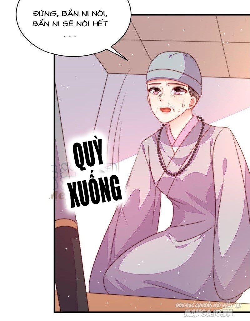 Ngày Nào Thiếu Soái Cũng Ghen Chapter 347 - Trang 2