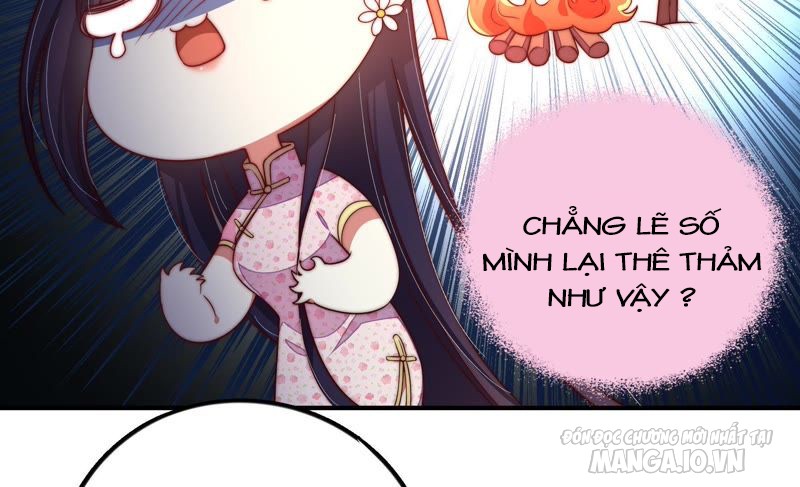 Ngày Nào Thiếu Soái Cũng Ghen Chapter 35 - Trang 2