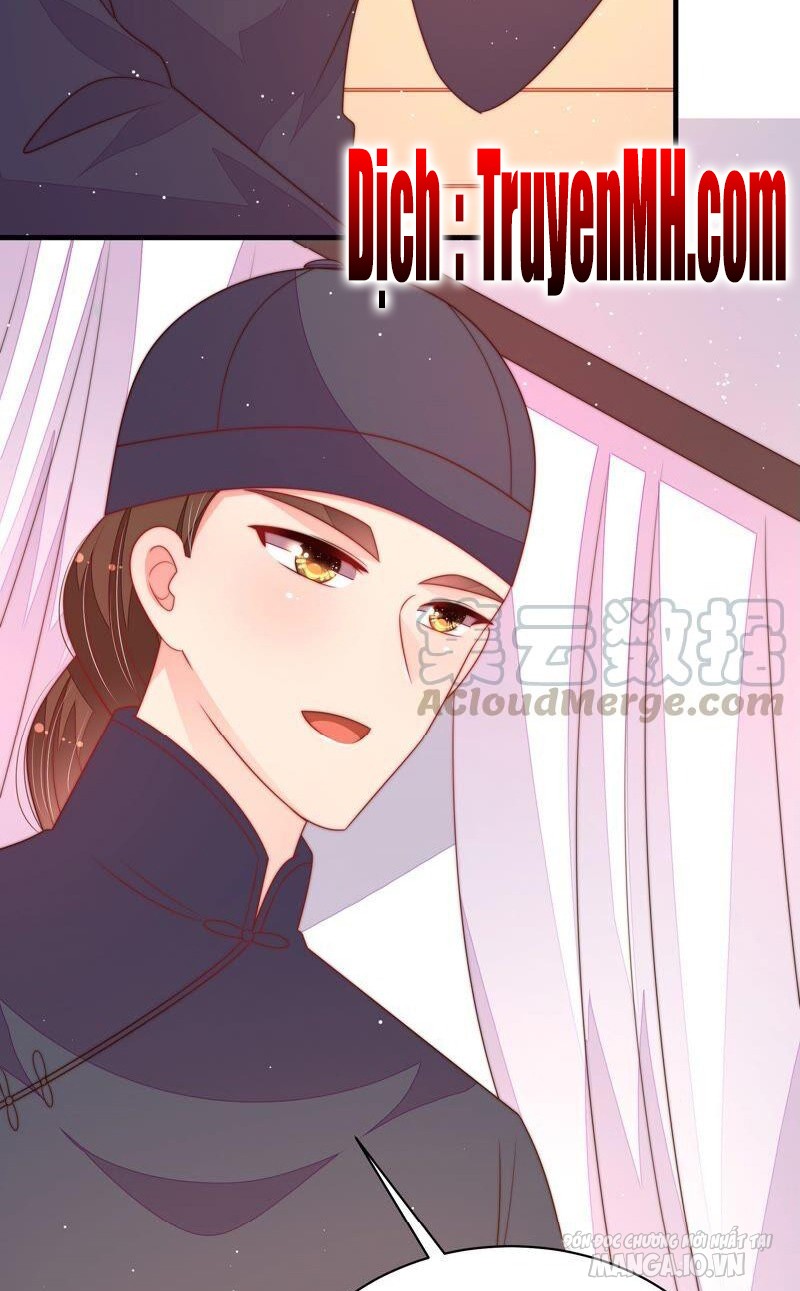 Ngày Nào Thiếu Soái Cũng Ghen Chapter 351 - Trang 2