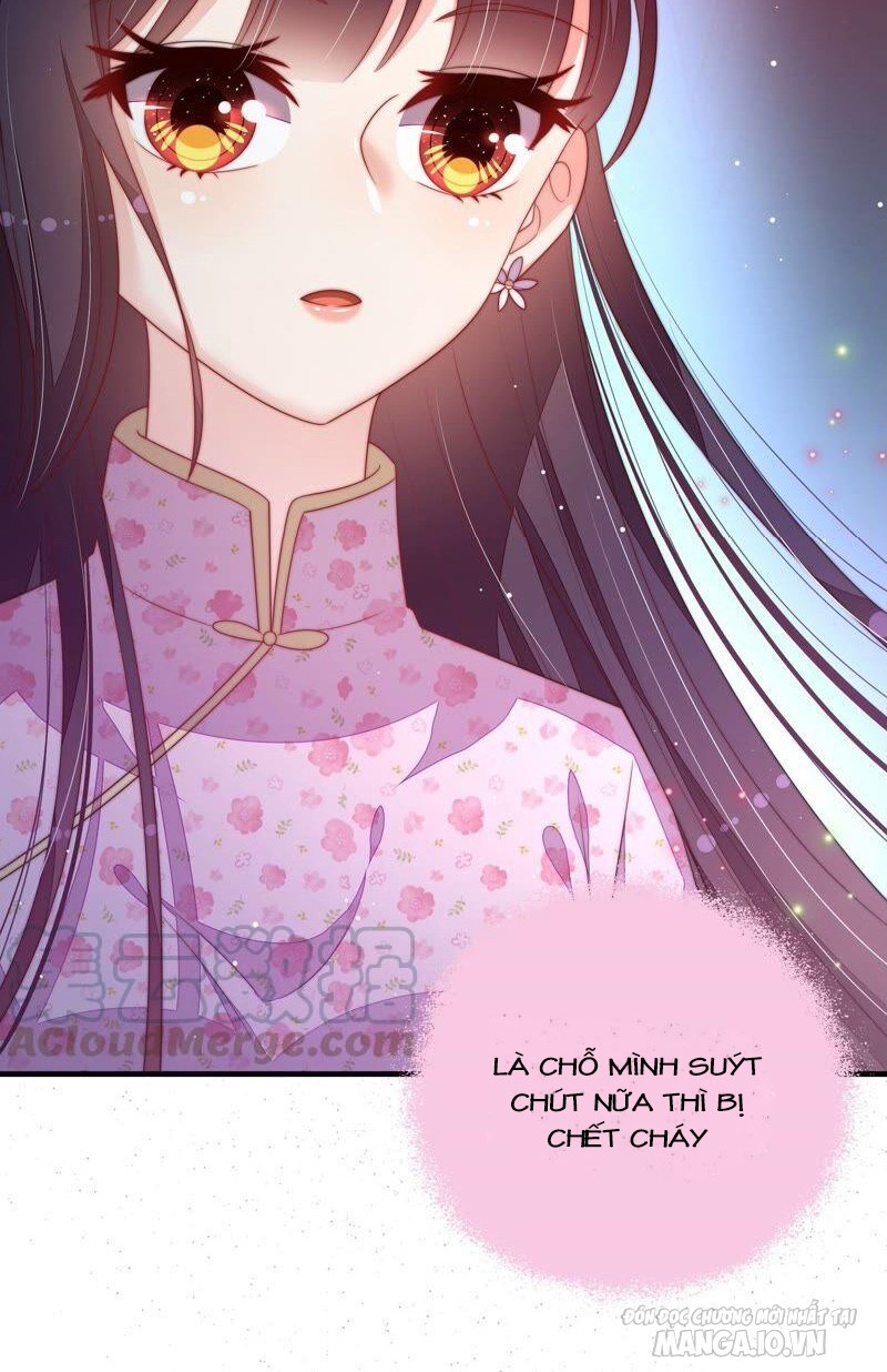 Ngày Nào Thiếu Soái Cũng Ghen Chapter 354 - Trang 2