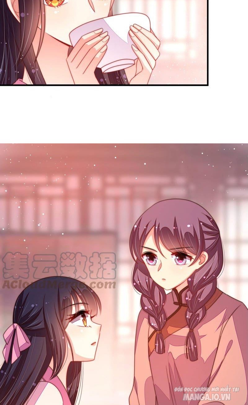 Ngày Nào Thiếu Soái Cũng Ghen Chapter 355 - Trang 2