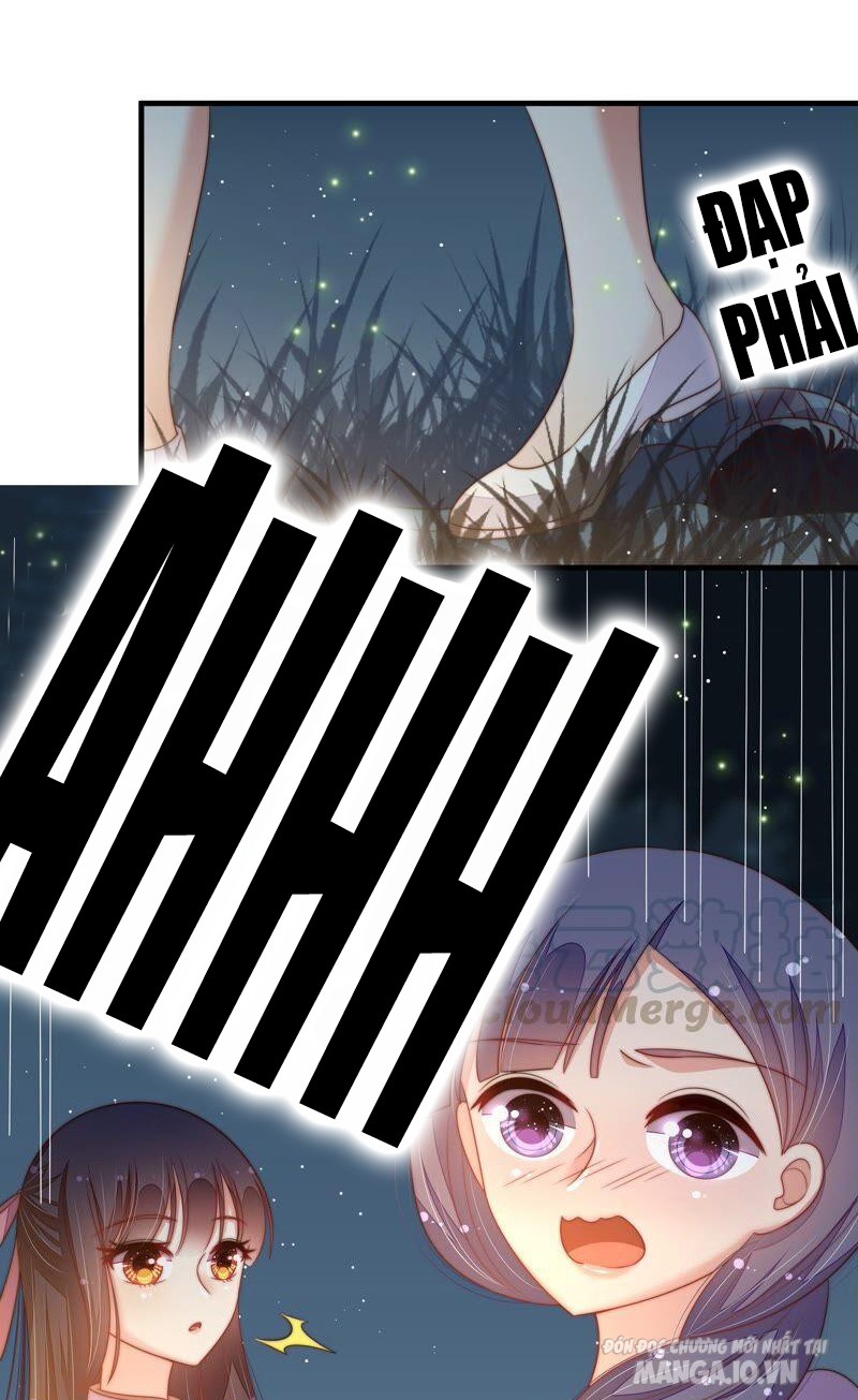 Ngày Nào Thiếu Soái Cũng Ghen Chapter 355 - Trang 2