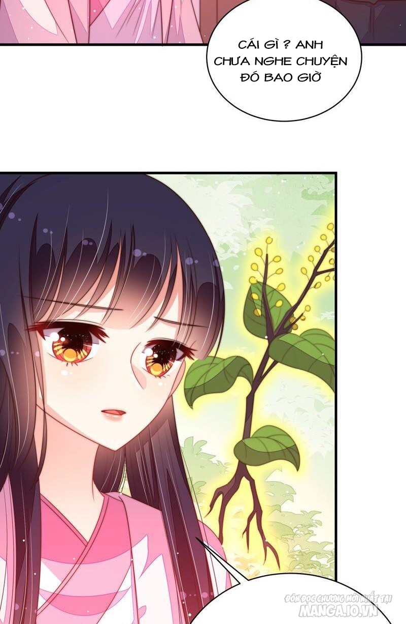 Ngày Nào Thiếu Soái Cũng Ghen Chapter 357 - Trang 2