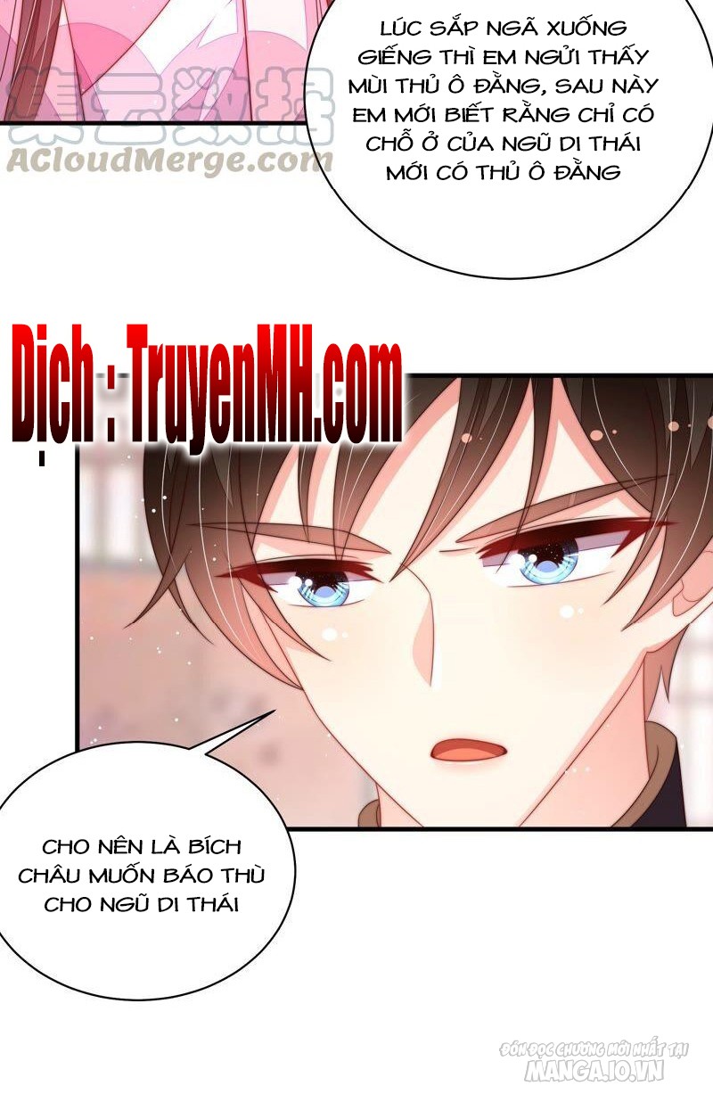 Ngày Nào Thiếu Soái Cũng Ghen Chapter 357 - Trang 2