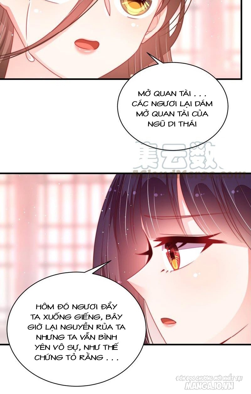 Ngày Nào Thiếu Soái Cũng Ghen Chapter 359 - Trang 2