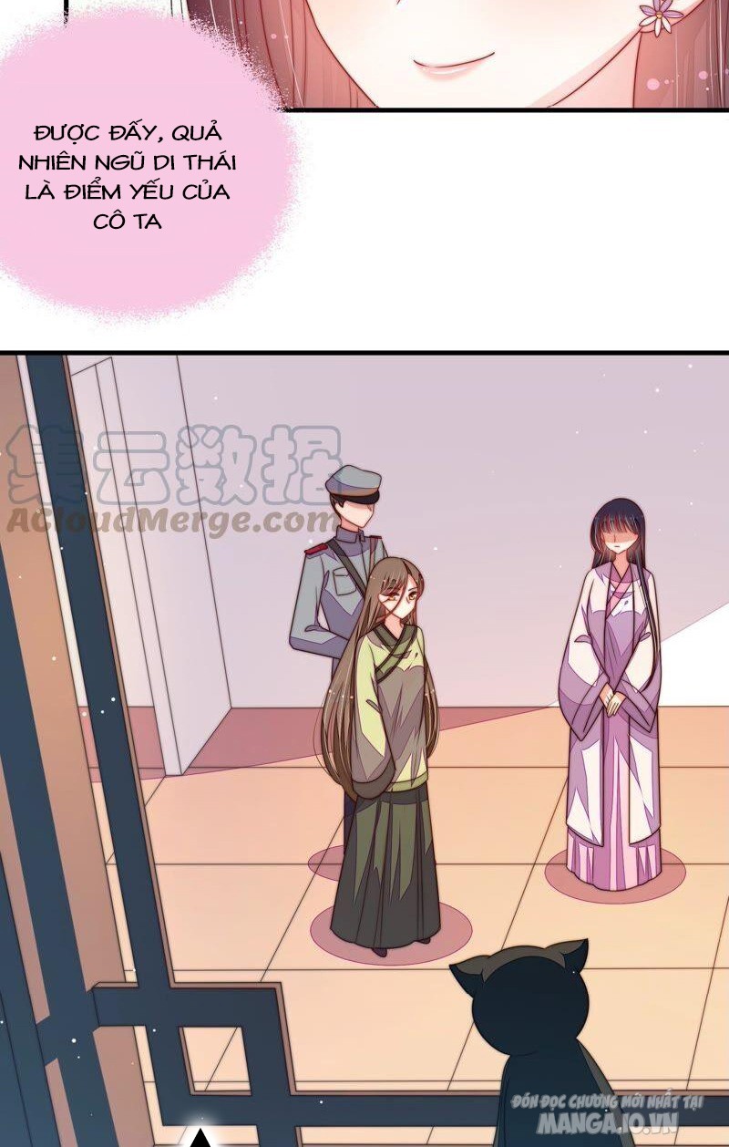 Ngày Nào Thiếu Soái Cũng Ghen Chapter 359 - Trang 2