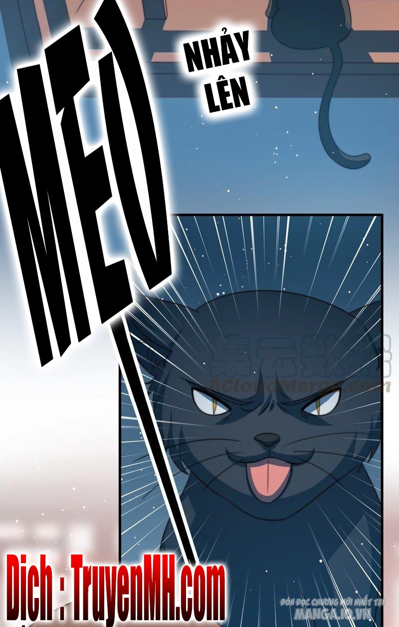 Ngày Nào Thiếu Soái Cũng Ghen Chapter 359 - Trang 2