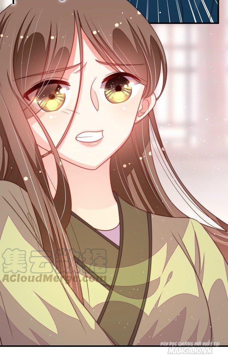 Ngày Nào Thiếu Soái Cũng Ghen Chapter 359 - Trang 2