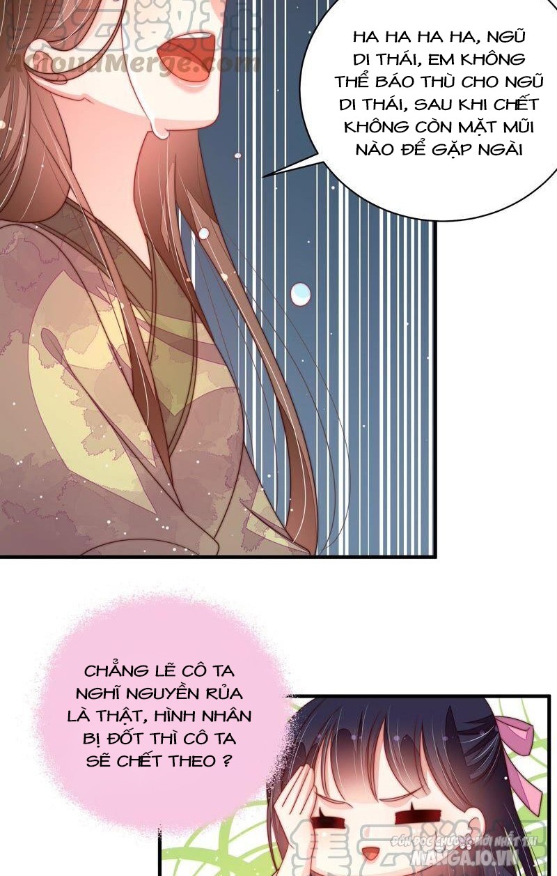 Ngày Nào Thiếu Soái Cũng Ghen Chapter 359 - Trang 2