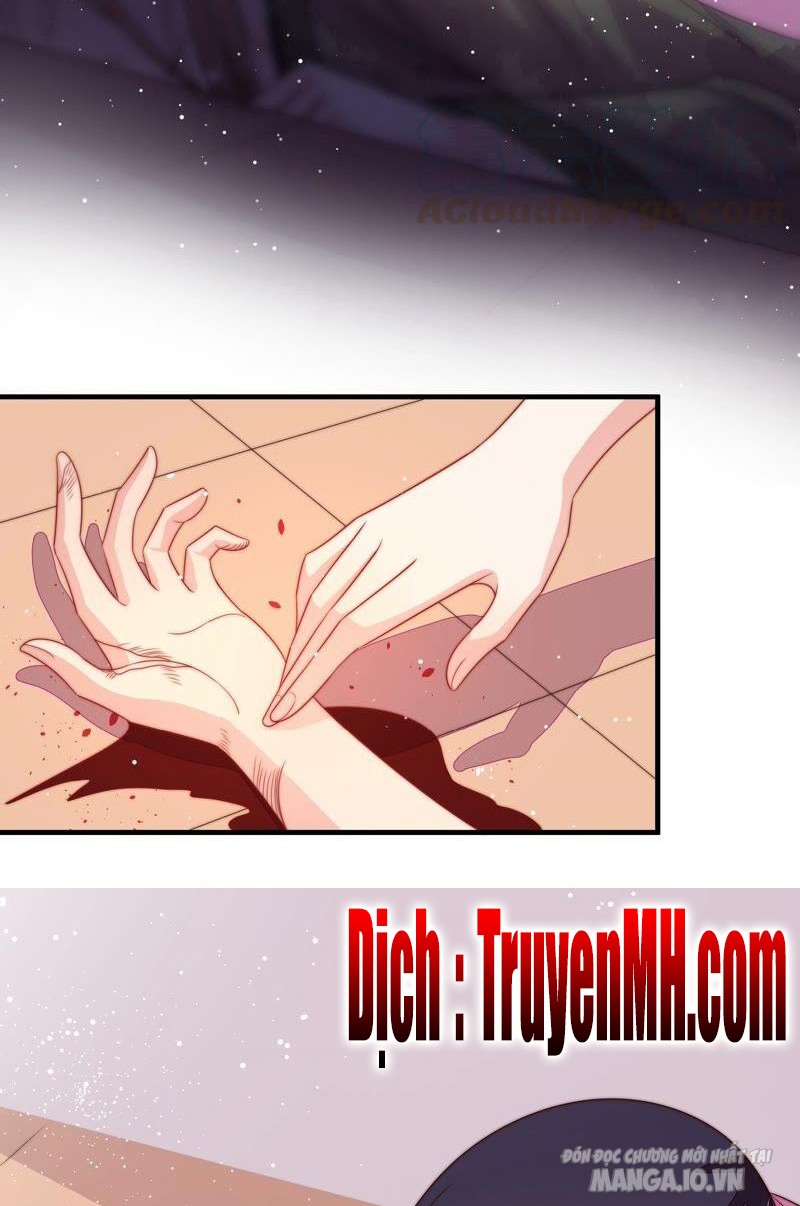 Ngày Nào Thiếu Soái Cũng Ghen Chapter 360 - Trang 2