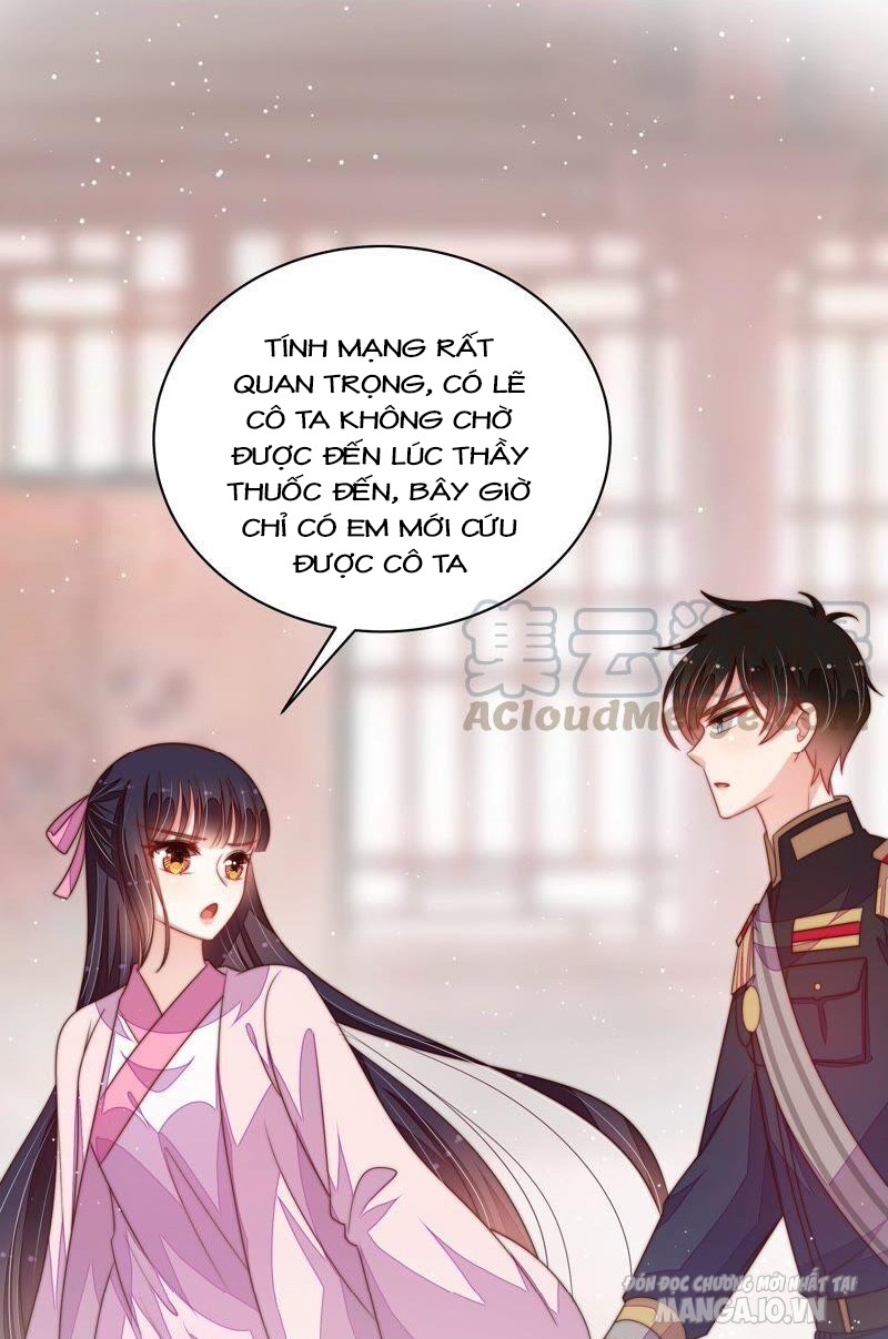 Ngày Nào Thiếu Soái Cũng Ghen Chapter 360 - Trang 2