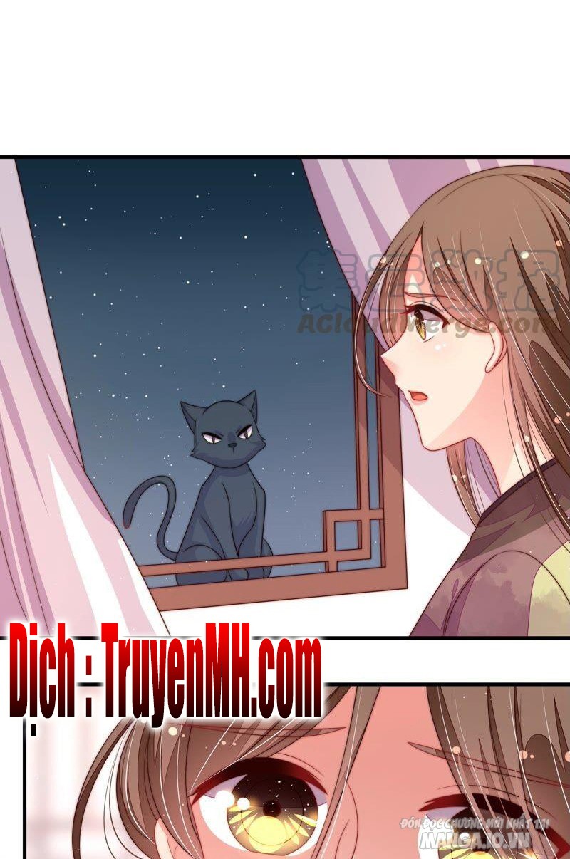 Ngày Nào Thiếu Soái Cũng Ghen Chapter 360 - Trang 2