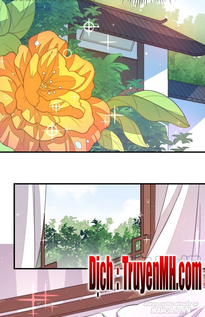 Ngày Nào Thiếu Soái Cũng Ghen Chapter 363 - Trang 2