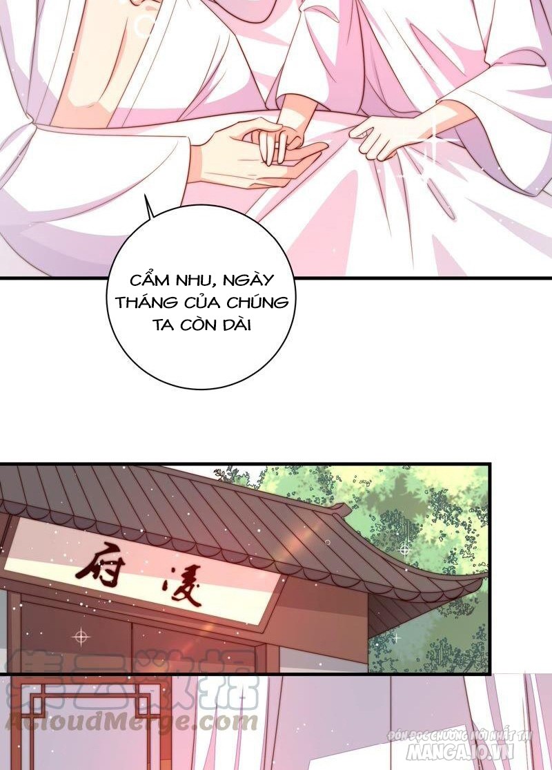 Ngày Nào Thiếu Soái Cũng Ghen Chapter 364 - Trang 2