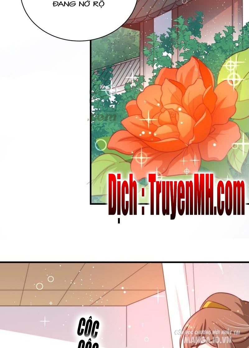 Ngày Nào Thiếu Soái Cũng Ghen Chapter 364 - Trang 2