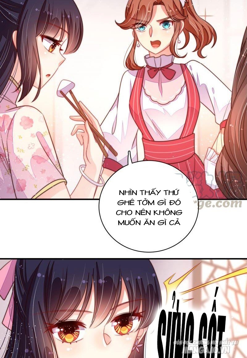 Ngày Nào Thiếu Soái Cũng Ghen Chapter 365 - Trang 2