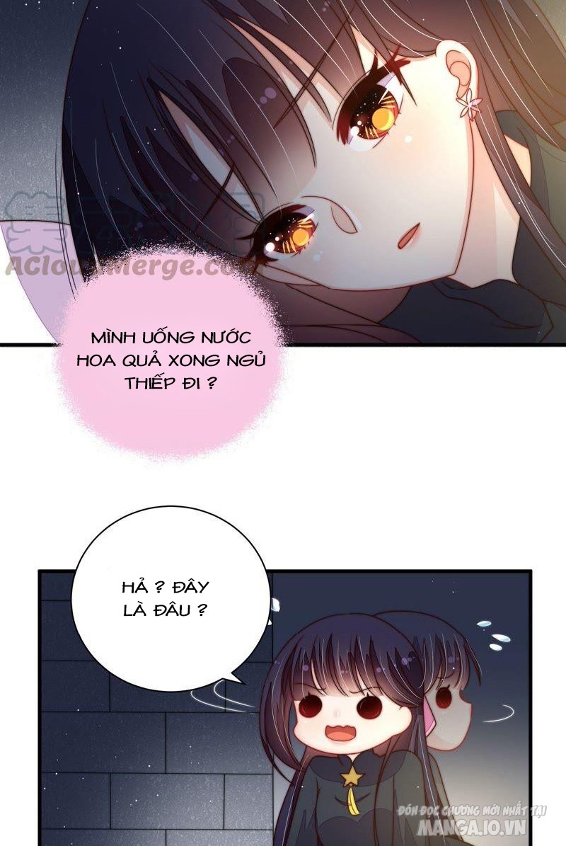 Ngày Nào Thiếu Soái Cũng Ghen Chapter 377 - Trang 2